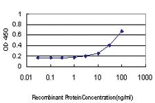 Anti-BTN2A1 Mouse Monoclonal Antibody [clone: 3A1]