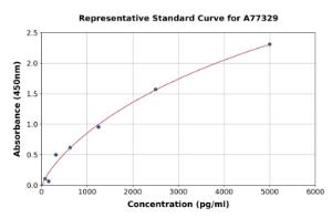 Representative standard curve for Human SIRT6 ELISA kit (A77329)