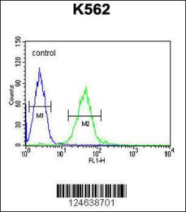 Anti-GTPBP2 Rabbit Polyclonal Antibody (PE (Phycoerythrin))