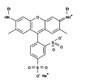 Sulforhodamine  g 73 1 g