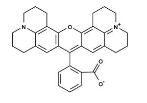 Rhodamine 101 inner 74 25 mg