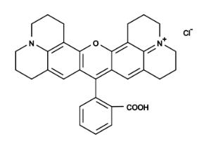 Rhodamine 101 chlori 75 25 mg