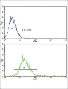 Anti-RECK Rabbit Polyclonal Antibody (Biotin)