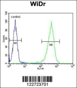 Anti-CCDC3 Rabbit Polyclonal Antibody