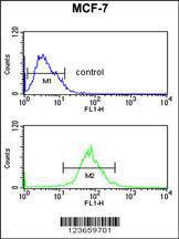 Anti-AIM2 Rabbit Polyclonal Antibody (FITC (Fluorescein Isothiocyanate))