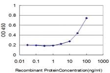 Anti-FBL Mouse Monoclonal Antibody [clone: 4G9-E4]