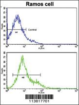 Anti-CD247 Rabbit Polyclonal Antibody