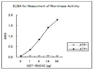 Anti-PPP1R12A Mouse Monoclonal Antibody [clone: AF-20]