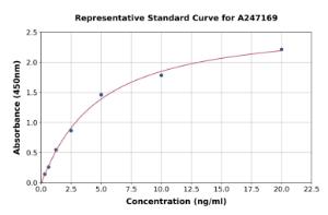 Representative standard curve for Human BTNL2 ELISA kit (A247169)