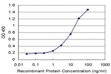 Anti-ESD Mouse Monoclonal Antibody [clone: 1E1]