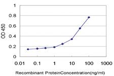 Anti-KPTN Mouse Monoclonal Antibody [clone: 1C7]