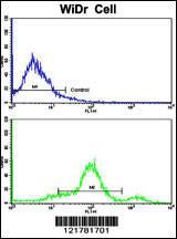 Anti-CCHCR1 Rabbit Polyclonal Antibody (APC (Allophycocyanin))