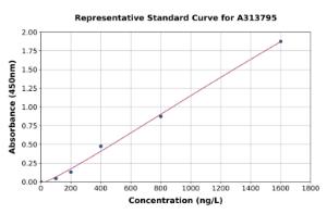 Representative standard curve for mouse Has2 ELISA kit (A313795)