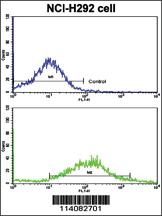 Anti-CDH6 Rabbit Polyclonal Antibody