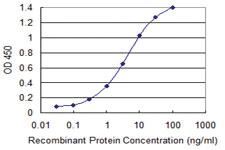 Anti-PCDHGB2 Mouse Monoclonal Antibody [clone: 6E9]