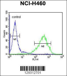 Anti-RAB3IL1 Rabbit Polyclonal Antibody