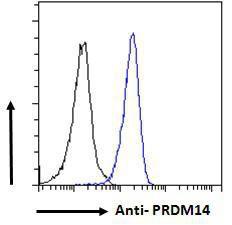 Anti-PRDM14 Antibody (A121177) - Flow cytometric analysis of paraformaldehyde fixed HeLa cells (blue line), permeabilized with 05% Triton Primary incubation 1hr (10 µg/ml) followed by Alexa Fluor 488 secondary antibody (1 µg/ml) IgG control