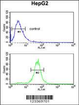 Anti-RERE Rabbit Polyclonal Antibody (AP (Alkaline Phosphatase))