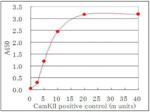 Anti-Syntide-2 Mouse Monoclonal Antibody [clone: MS-6E6]