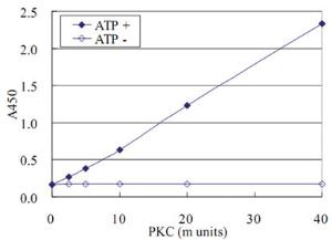 Anti-PPP1R14A Mouse Monoclonal Antibody [clone: AK-1F11]