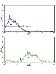 Anti-MHC Class 1 Chain-related Gene A Rabbit Polyclonal Antibody (AP (Alkaline Phosphatase))