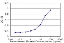 Anti-CLDN4 Mouse Monoclonal Antibody [clone: 4A11]