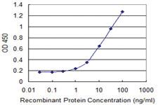 Anti-FAM3C Mouse Monoclonal Antibody [clone: 3A3]