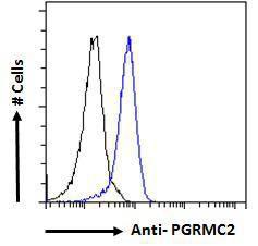 Anti-PGRMC2 Antibody (A121176) - Flow cytometric analysis of paraformaldehyde fixed HeLa cells (blue line), permeabilized with 0