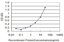 Anti-HBA1 Mouse Monoclonal Antibody (KLH (Keyhole Limpet&nbsp;Hemocyanin)) [clone: 1E4]