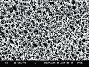 Mixed cellulose ester membranes, sterile, 0,2 µm, Whatman™