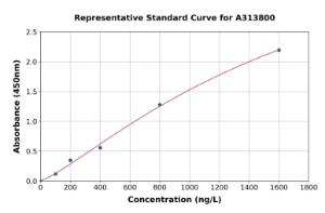 Representative standard curve for human CELSR2 ELISA kit (A313800)