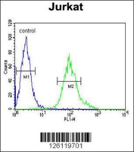 Anti-GNB1 Rabbit Polyclonal Antibody