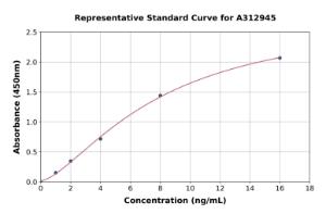 Representative standard curve for Mouse Spink7 ELISA kit (A312945)