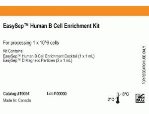 EasySep™ human B cell enrichment kit