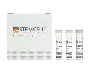 EasySep™ human B cell enrichment kit