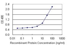 Anti-CD248 Antibody Pair