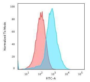 Flow cytometric analysis of PFA fixed HePG2 cells using Anti-GRP94 Antibody [HSP90B1/3168R] followed by Goat Anti-Rat IgG (CF&#174; 488) (Blue). Isotype Control (Red)