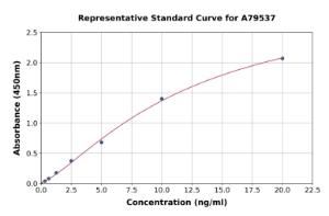 Representative standard curve for Rat MMP2 ELISA kit (A79537)