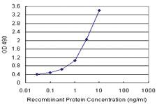 Anti-CD248 Polyclonal Antibody Pair