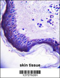 Anti-ERV3-1 Rabbit Polyclonal Antibody (FITC (Fluorescein Isothiocyanate))