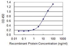 Anti-TECTA Mouse Monoclonal Antibody [clone: 2A5]