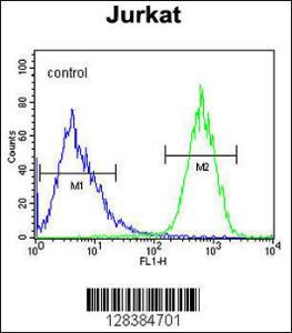 Anti-PRRG3 Rabbit Polyclonal Antibody (AP (Alkaline Phosphatase))