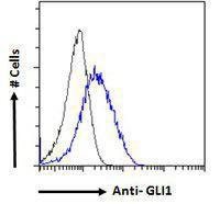 Anti-GLI1 Antibody (A121161) - Flow cytometric analysis of paraformaldehyde fixed HepG2 cells (blue line), permeabilized with 0.5% Triton