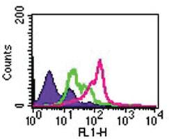 Anti-TLR2 Mouse Monoclonal Antibody [clone: TL2.1]