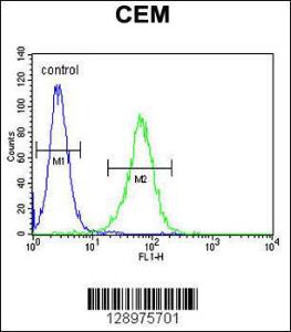 Anti-NXPH4 Rabbit Polyclonal Antibody (PE (Phycoerythrin))