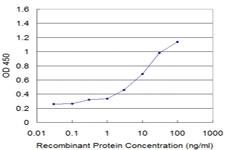 Anti-NCOA4 Mouse Monoclonal Antibody [clone: 1E5]