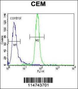 Anti-MUSK Rabbit Polyclonal Antibody