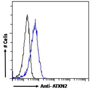 Anti-ATXN2 Antibody (A121157) - Flow cytometric analysis of paraformaldehyde fixed A431 cells (blue line), permeabilized with 0.5% Triton. Primary incubation 1hr (10µg/ml) followed by Alexa Fluor 488 secondary antibody (1µg/ml).