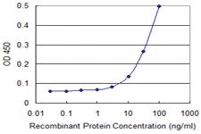 Anti-REG1A Mouse Monoclonal Antibody [clone: 3E2]