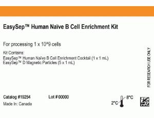 EasySep™ human Naïve B cell enrichment kit